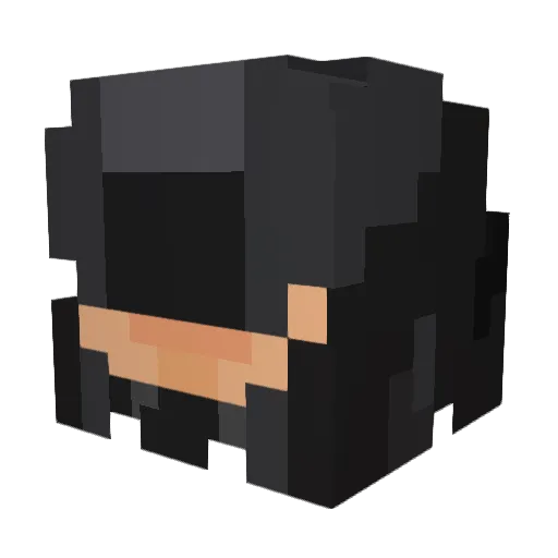 Invaderxan Minecraft avatar head, 3D render