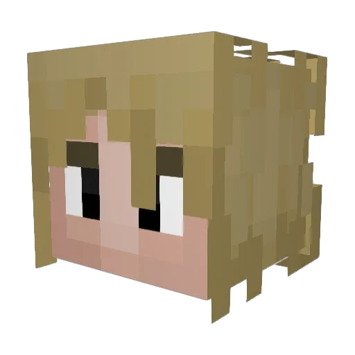 InvalidBeast456 Minecraft avatar head, 3D render