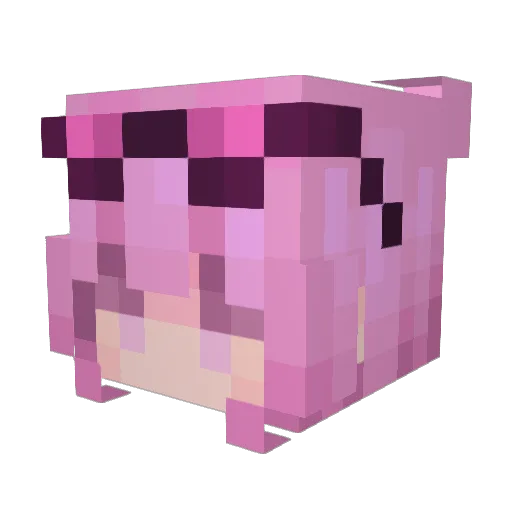 InvalidMT21 Minecraft avatar head, 3D render