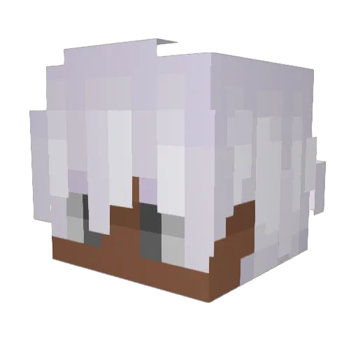 Invalidated_ Minecraft avatar head, 3D render