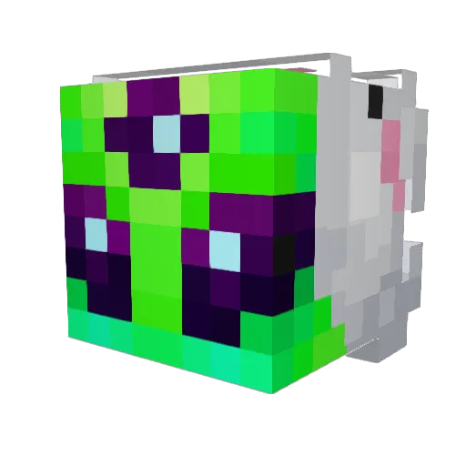 Invazzzion Minecraft avatar head, 3D render