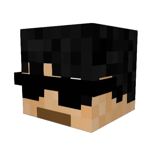 InversedPlayer Minecraft avatar head, 3D render