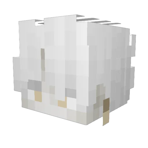 Invictus2803 Minecraft avatar head, 3D render
