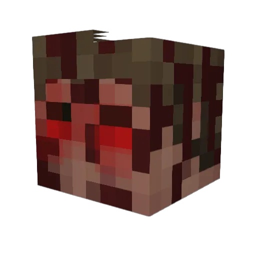 Invincible1223 Minecraft avatar head, 3D render