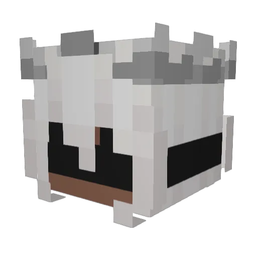 Invincible_0 Minecraft avatar head, 3D render