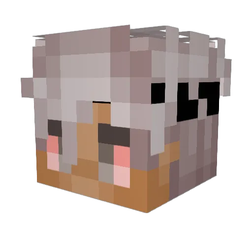 InvisToqqle Minecraft avatar head, 3D render