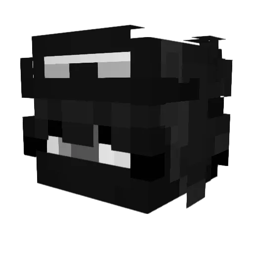 Invis_2 Minecraft avatar head, 3D render