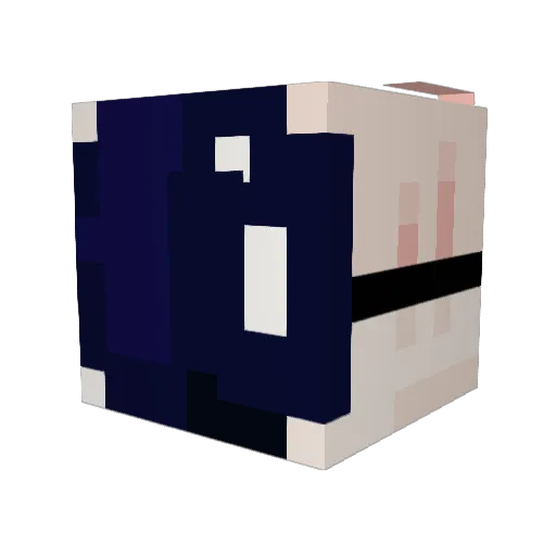 Invis_ibl3 Minecraft avatar head, 3D render