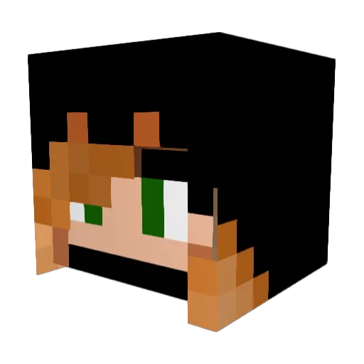 Invisagirl Minecraft avatar head, 3D render