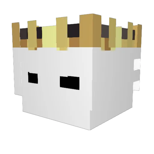 Invisible5657 Minecraft avatar head, 3D render
