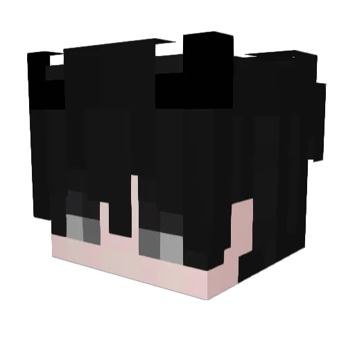 InvisibleFox Minecraft avatar head, 3D render