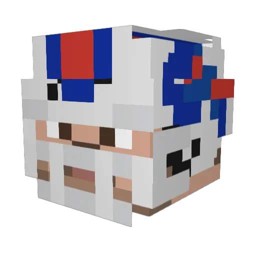 InvisibleWaffle Minecraft avatar head, 3D render