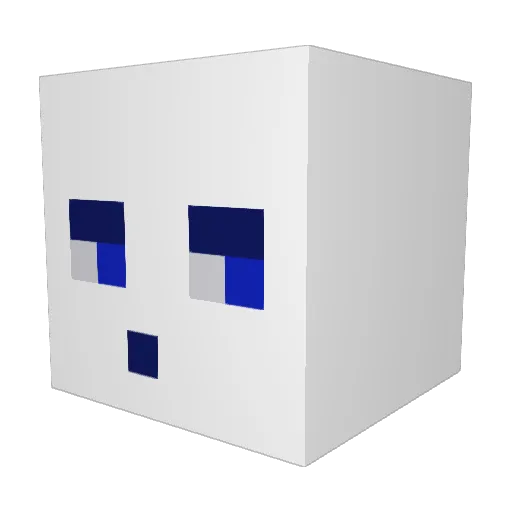 Invisibler21 Minecraft avatar head, 3D render