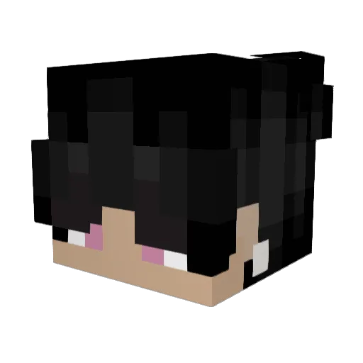 Invisica_Jr Minecraft avatar head, 3D render