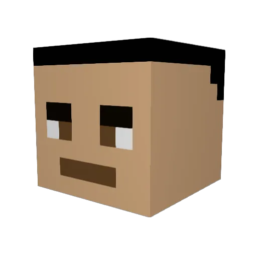 Invite_Diego Minecraft avatar head, 3D render