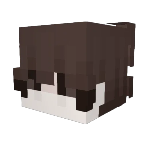 Invitis Minecraft avatar head, 3D render