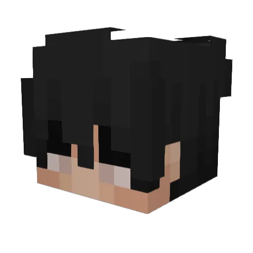 Invizon Minecraft avatar head, 3D render