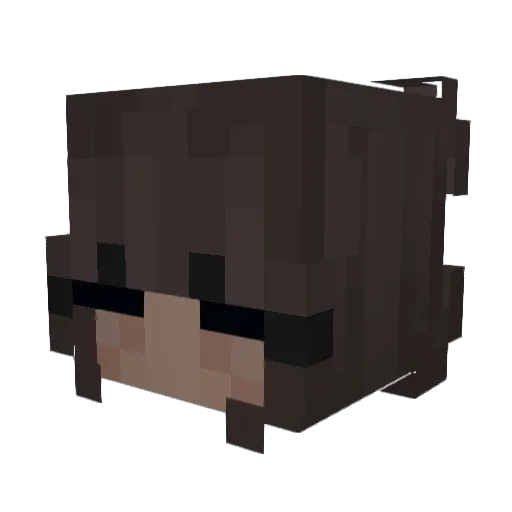InwardTurtle680 Minecraft avatar head, 3D render