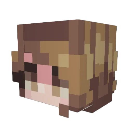 Inwh Minecraft avatar head, 3D render
