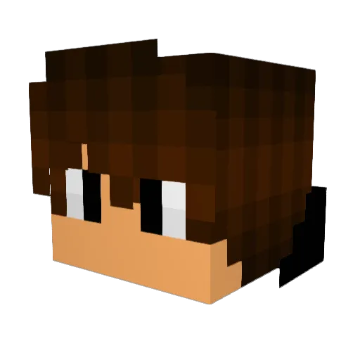 Inwin1 Minecraft avatar head, 3D render