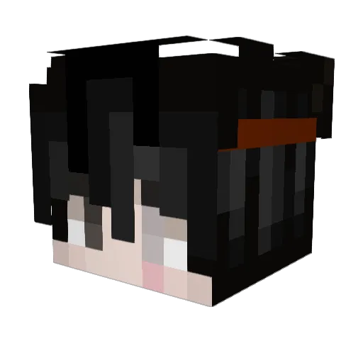 Ioku_ Minecraft avatar head, 3D render