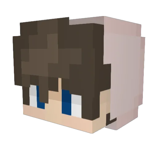 IomEuDisse Minecraft avatar head, 3D render