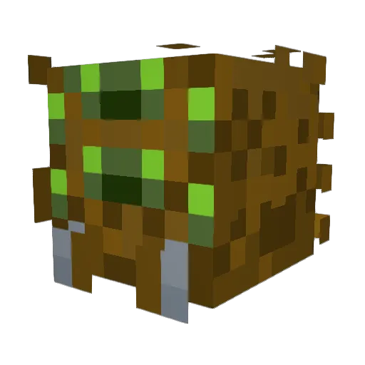 IonTheWorst Minecraft avatar head, 3D render