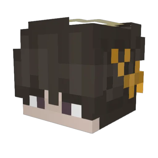 Iopee Minecraft avatar head, 3D render