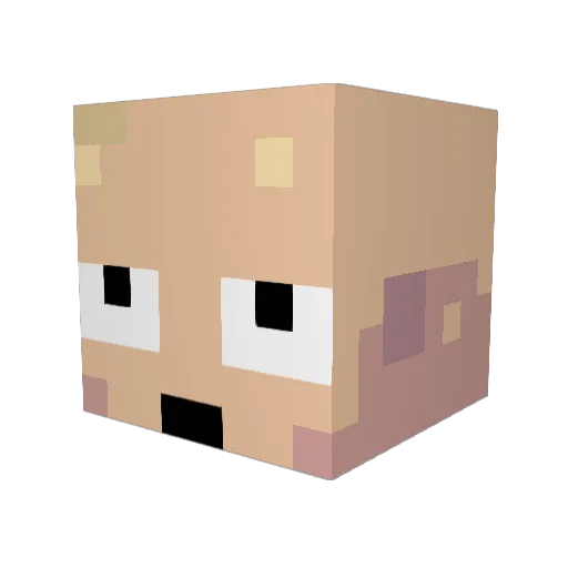 Iophyn Minecraft avatar head, 3D render
