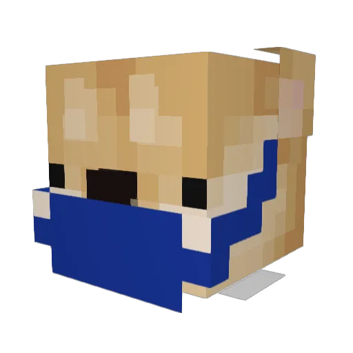 Ioritz2007 Minecraft avatar head, 3D render