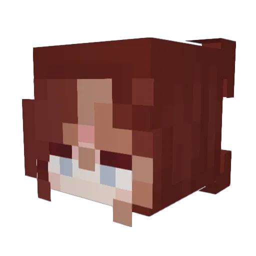 IotuspetaIs Minecraft avatar head, 3D render