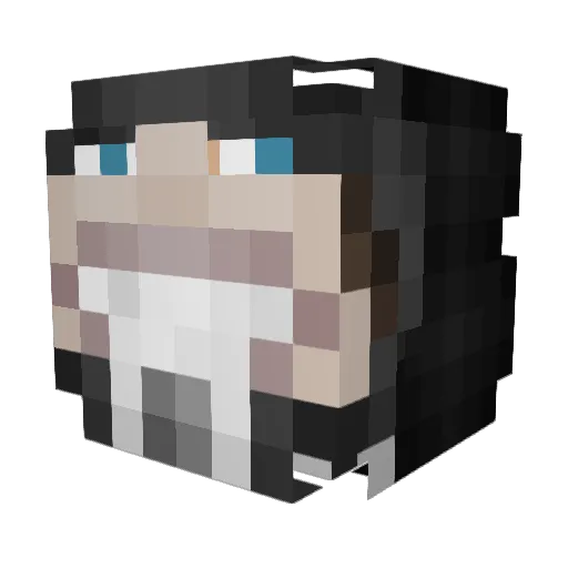 Ipheus Minecraft avatar head, 3D render
