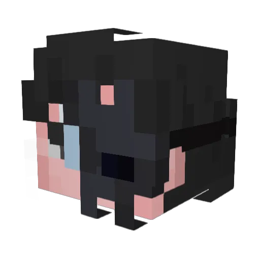 Iphis Minecraft avatar head, 3D render