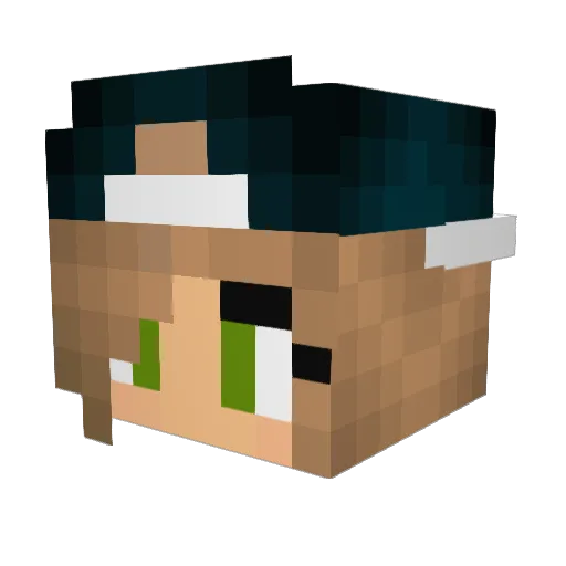 Ipinderrr Minecraft avatar head, 3D render