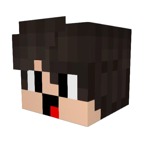 Ipopi_ Minecraft avatar head, 3D render