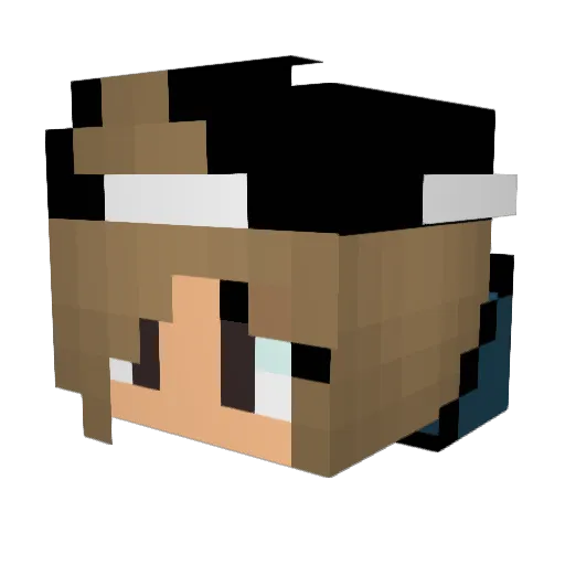 Ipswing Minecraft avatar head, 3D render