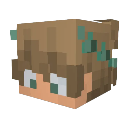 Ipsy_ Minecraft avatar head, 3D render