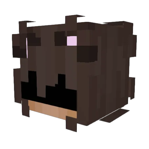 Ir0nSonic306 Minecraft avatar head, 3D render