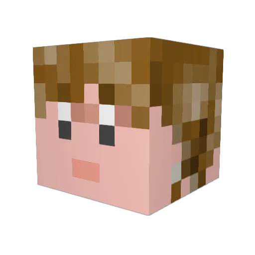 IrJammy Minecraft avatar head, 3D render