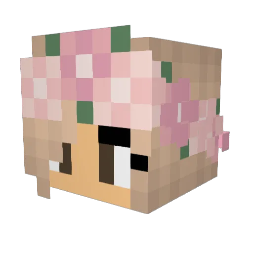 Iradt230 Minecraft avatar head, 3D render
