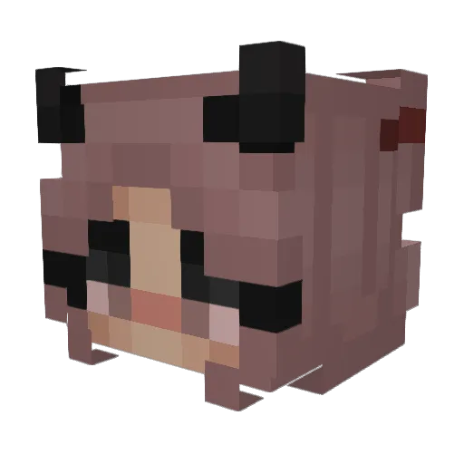 Iraide22 Minecraft avatar head, 3D render