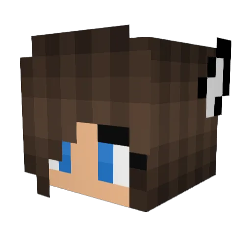 IranKissesMen Minecraft avatar head, 3D render