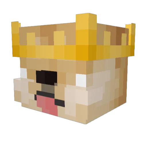 Irandomgamer Minecraft avatar head, 3D render