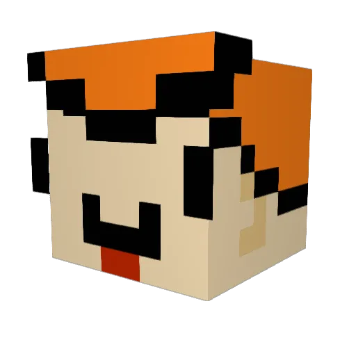 IranianAutist Minecraft avatar head, 3D render