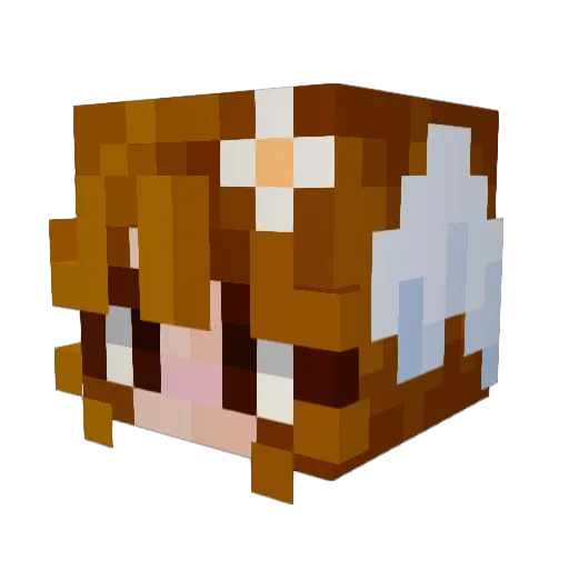Irbisia Minecraft avatar head, 3D render