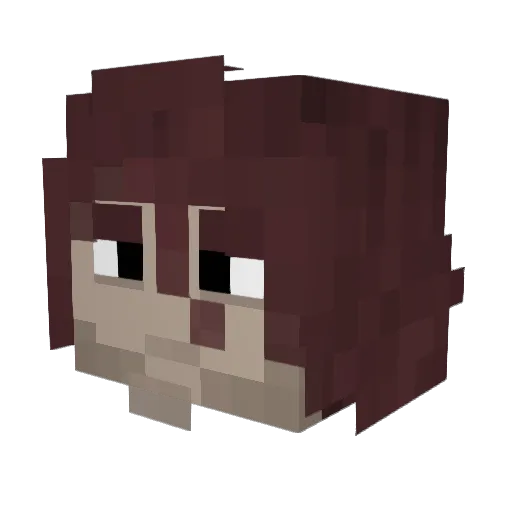 Irbras Minecraft avatar head, 3D render