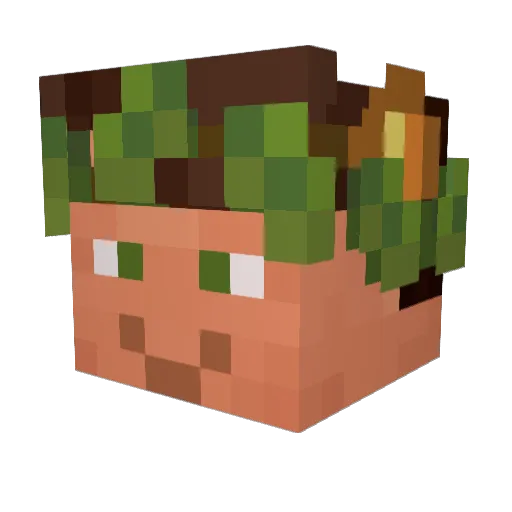 Ireapropper Minecraft avatar head, 3D render