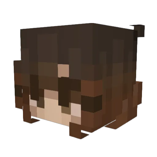 Ireen8 Minecraft avatar head, 3D render