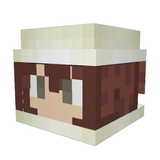 Ireland_Bound Minecraft avatar head, 3D render