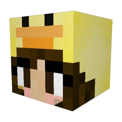 Irenee123 Minecraft avatar head, 3D render